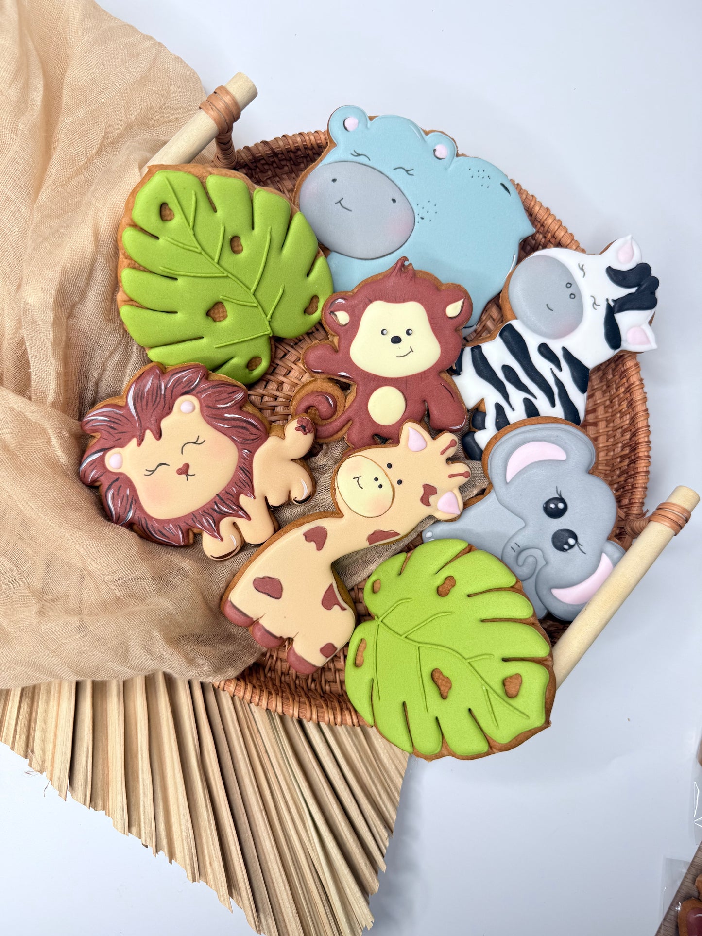 Safari Set aus 10 Cookies