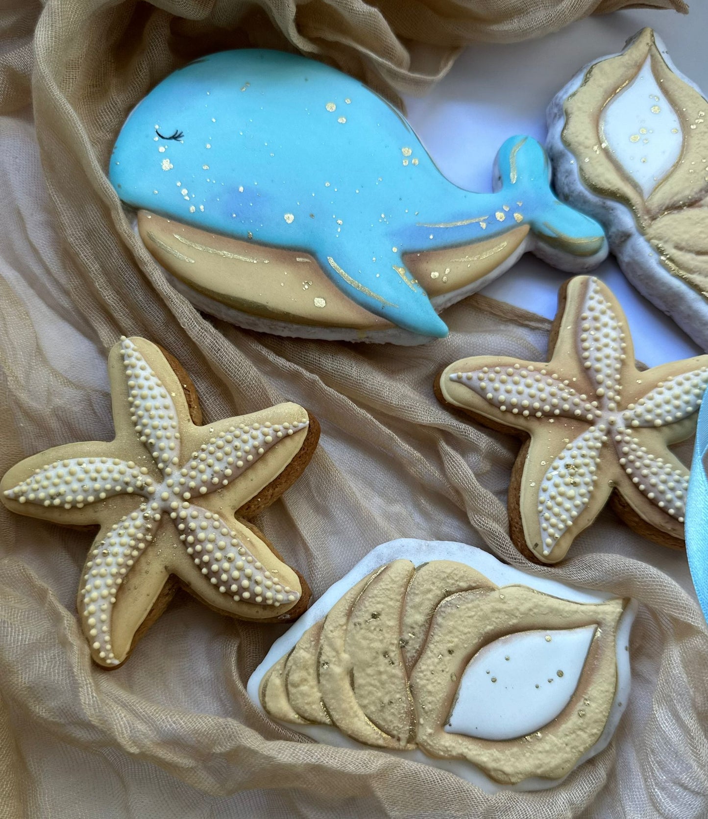 Under the Sea Cookies