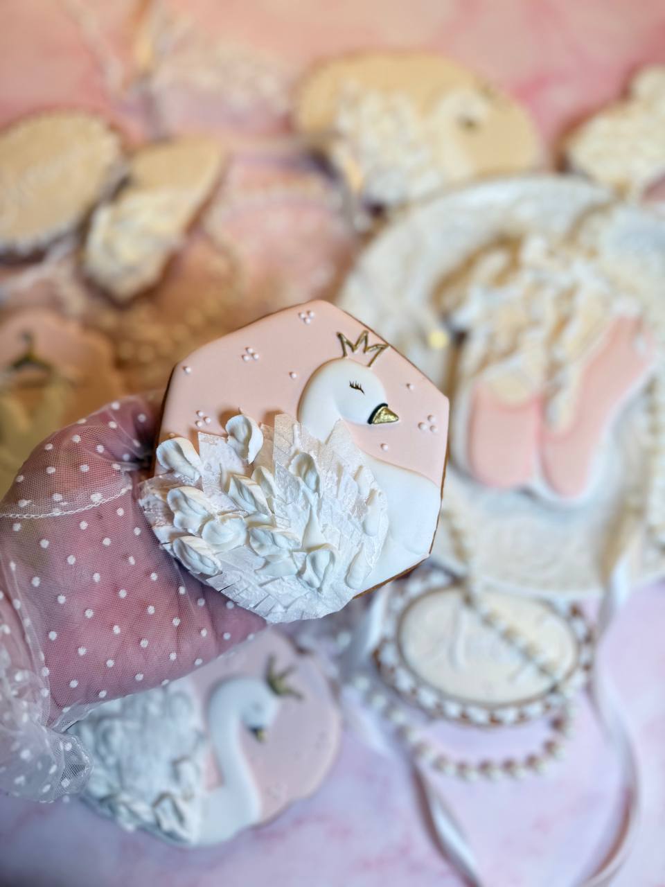 "Balerina" Set  aus 10 Cookies